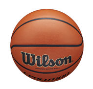 Wilson  Evolution Basketball  OFFICIAL