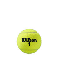 Wilson  Roland Garros All Ct 4 Ball One Size