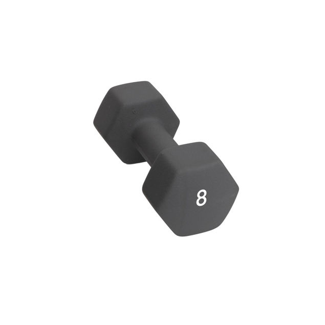 Abilica  Dumbbell 8 Kg One Size