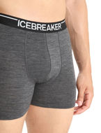 Icebreaker  Mens Anatomica Boxers XXL