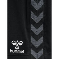 Hummel  Hmlauthentic Pl Shorts Kids 164